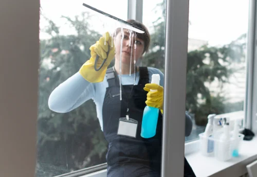 Nettoyage de vitres intérieures et extérieures à Lassy